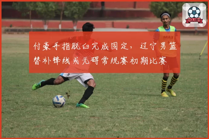 付豪手指脱臼完成固定，辽宁男篮替补锋线或无碍常规赛初期比赛