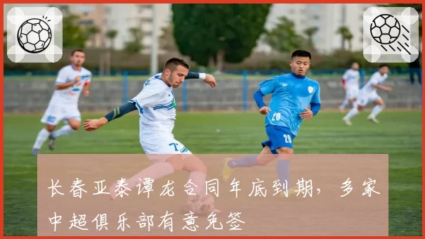 长春亚泰谭龙合同年底到期，多家中超俱乐部有意免签